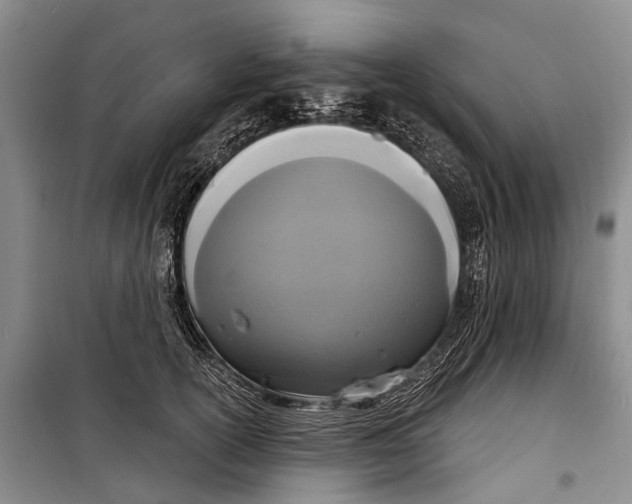 X0000098210754200805151252