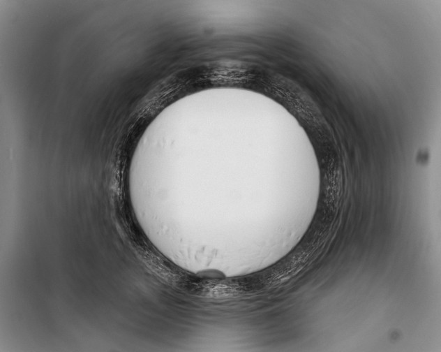 X0000098210755200805151252