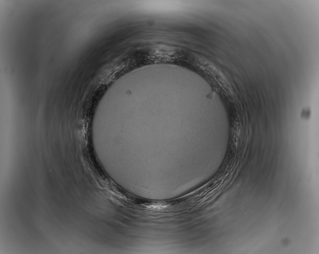 X0000098210759200805151253