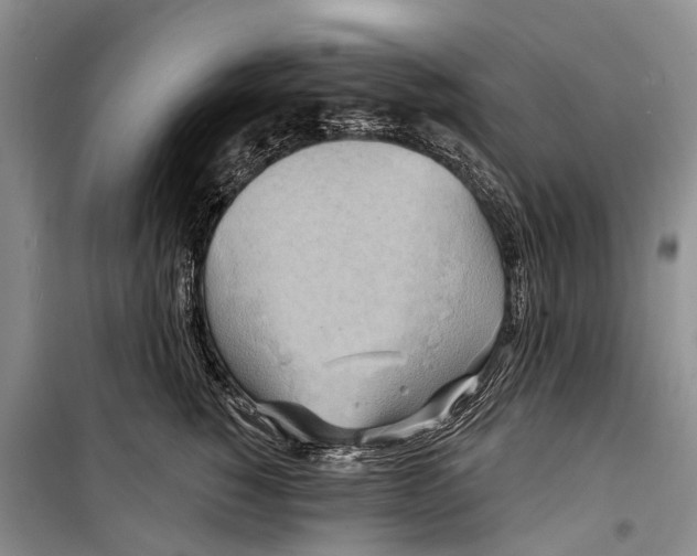 X0000098210760200805151253