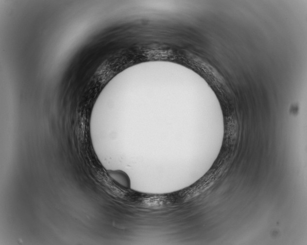 X0000098210761200805151253