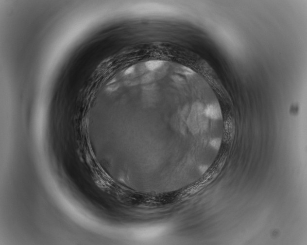X0000098210765200805151253