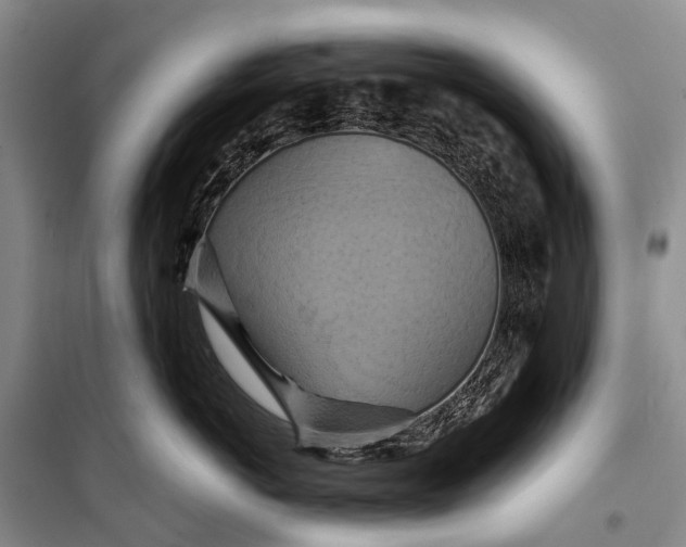 X0000098210766200805151253
