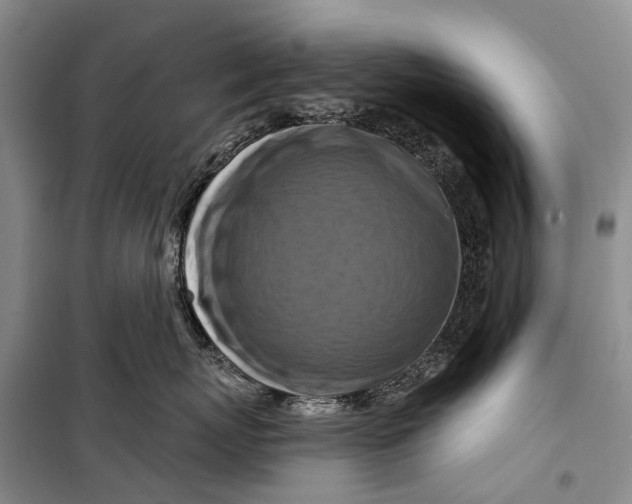 X0000098210767200805151253