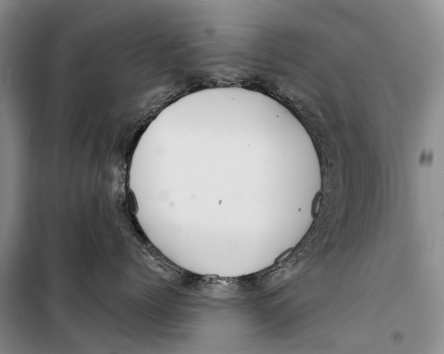 X0000098210768200805151253