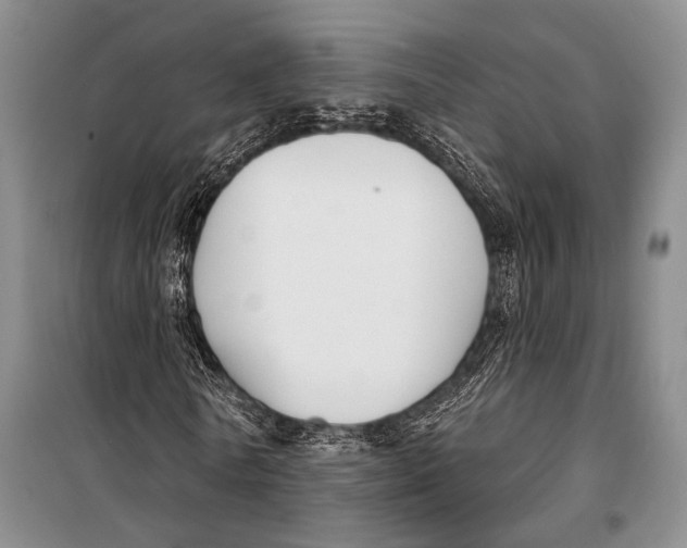 X0000098210770200805151252