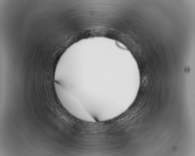 X0000098210772200805151252