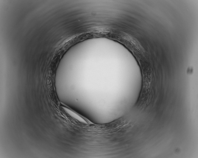 X0000098210773200805151252