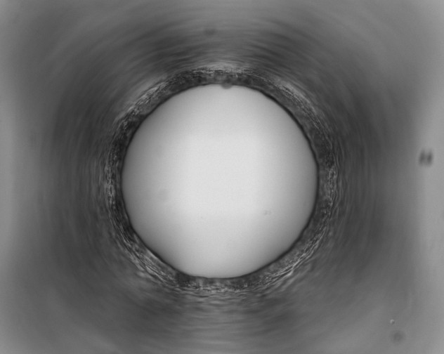X0000098210774200805151252