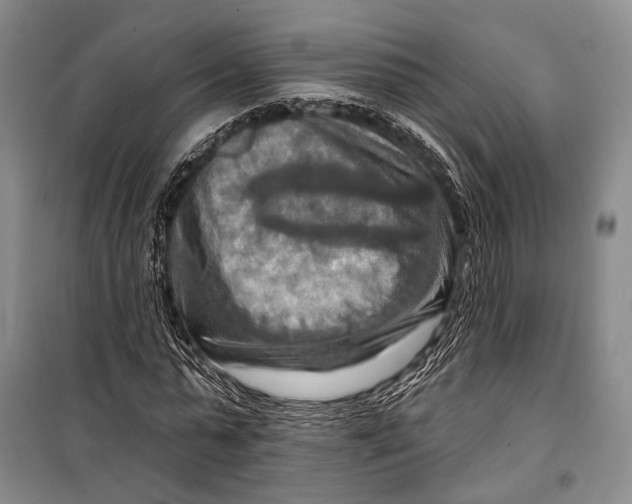 X0000098210775200805151252