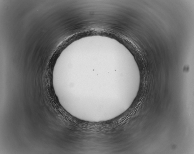 X0000098210776200805151252