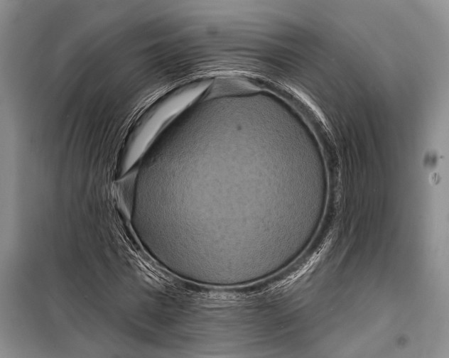 X0000098210777200805151252