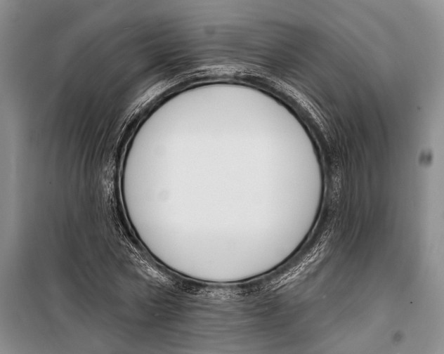 X0000098210778200805151252