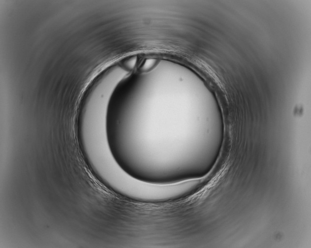 X0000098210781200805151252