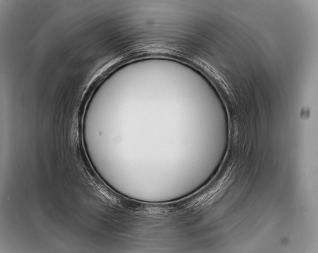 X0000098210782200805151252