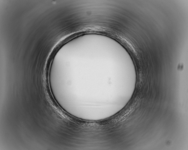 X0000098210784200805151252