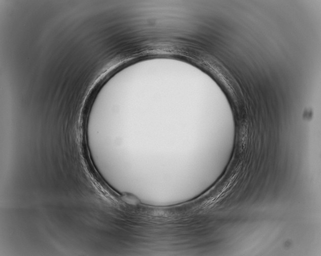 X0000098210787200805151252