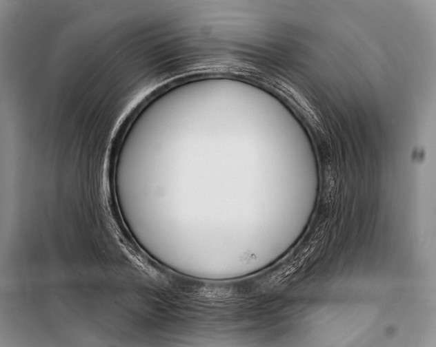 X0000098210788200805151252