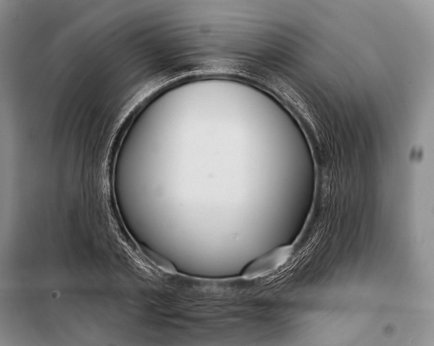 X0000098210789200805151252