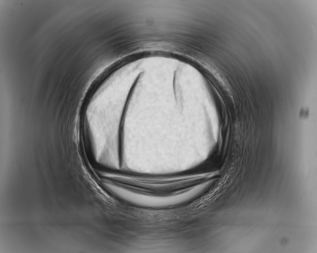 X0000098210791200805151252