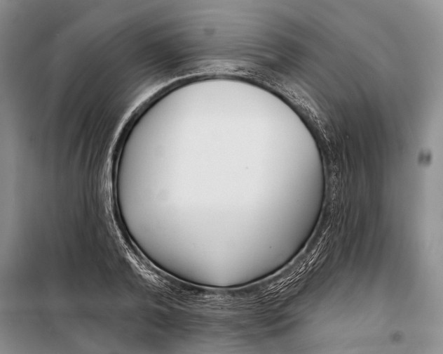 X0000098210792200805151251