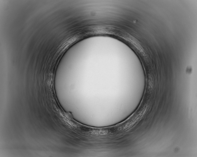 X0000098210793200805151251