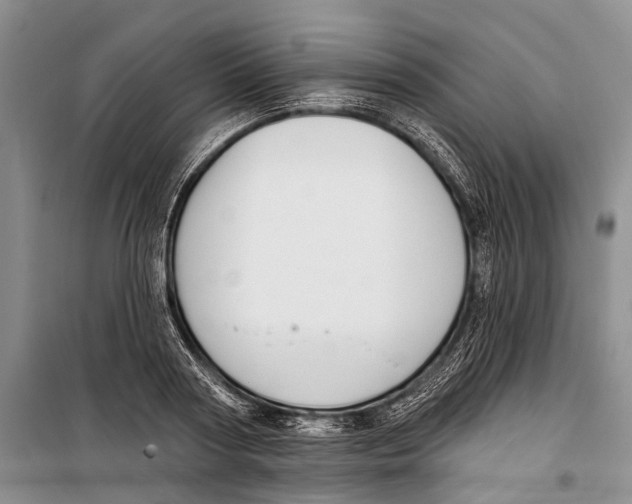 X0000098210794200805151251