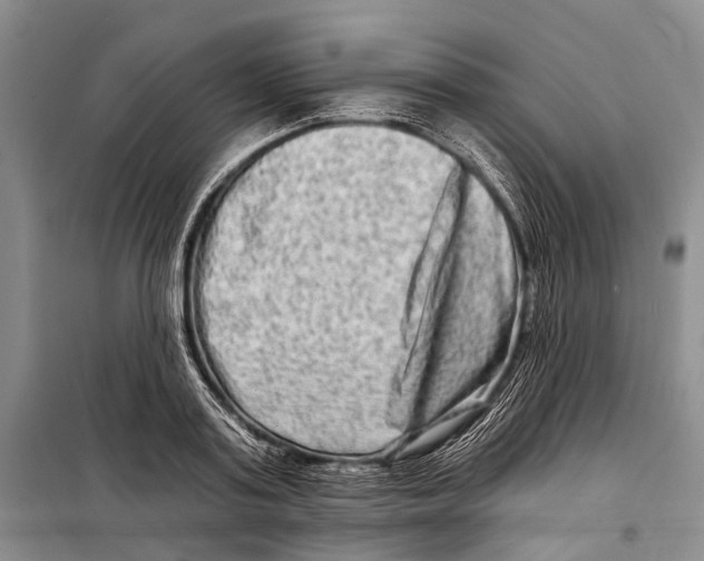 X0000098210795200805151251