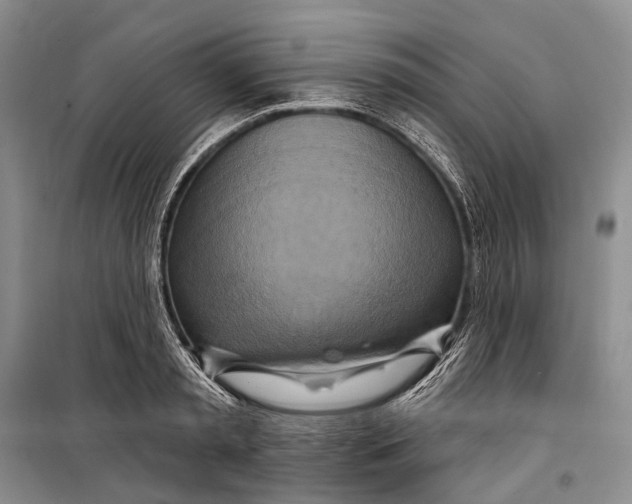 X0000098210797200805151251