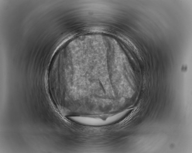 X0000098210798200805151251
