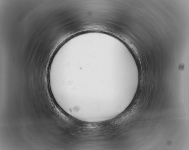 X0000098210799200805151251