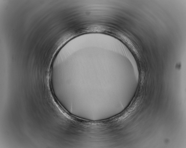X0000098210802200805151251