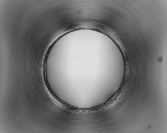 X0000098210803200805151251