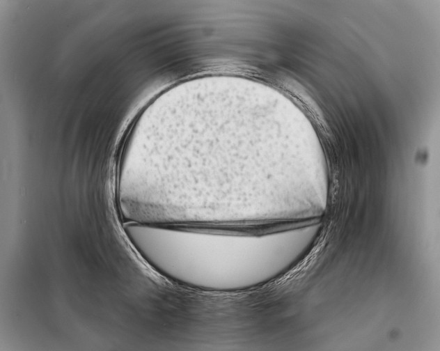 X0000098210804200805151251