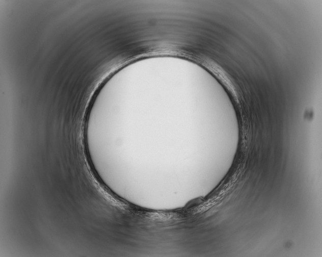X0000098210805200805151251
