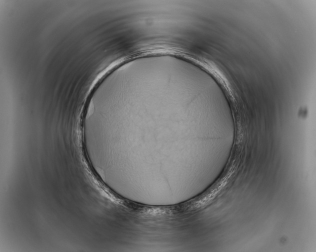 X0000098210806200805151251