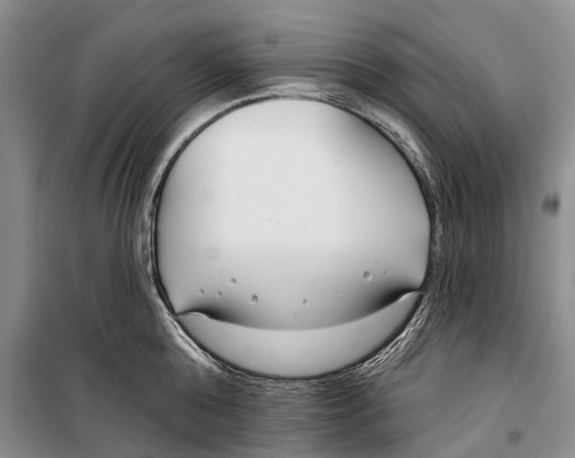X0000098210808200805151251