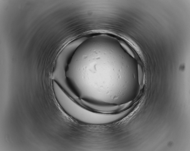 X0000098210809200805151251