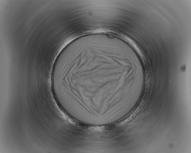 X0000098210810200805151251