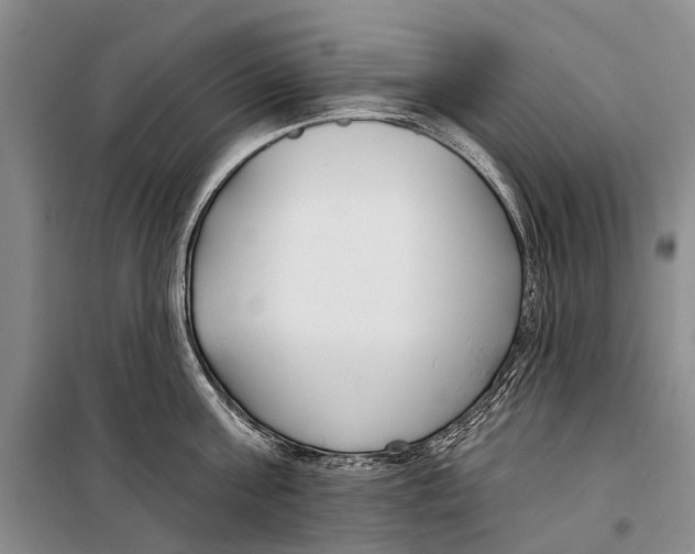 X0000098210811200805151251