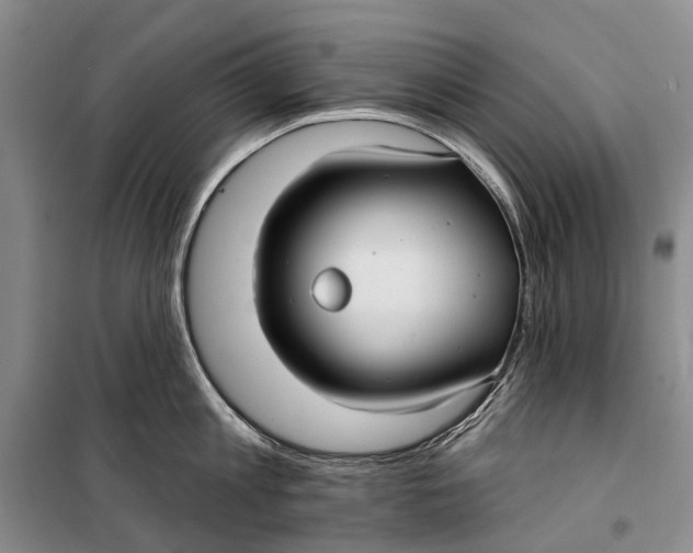 X0000098210813200805151251