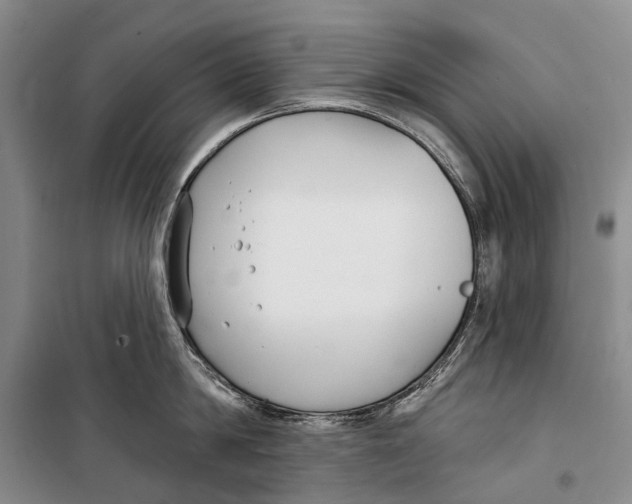 X0000098210814200805151251