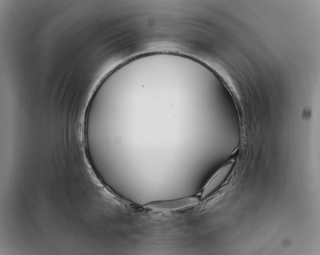 X0000098210815200805151251