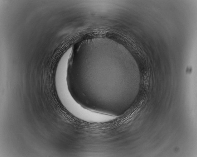 X0000098210818200805151250