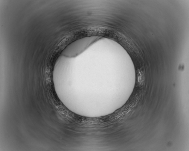 X0000098210819200805151251
