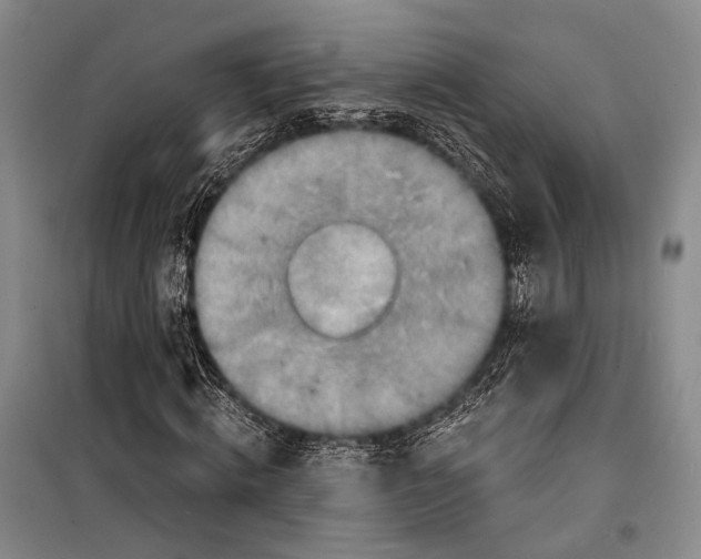 X0000098210820200805151251