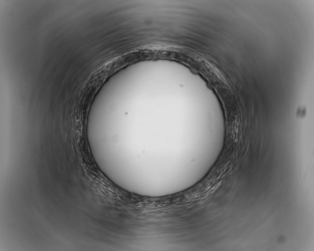 X0000098210821200805151251