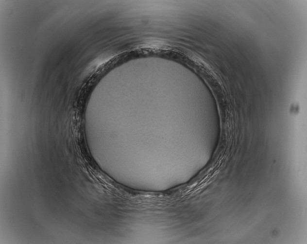X0000098210822200805151251