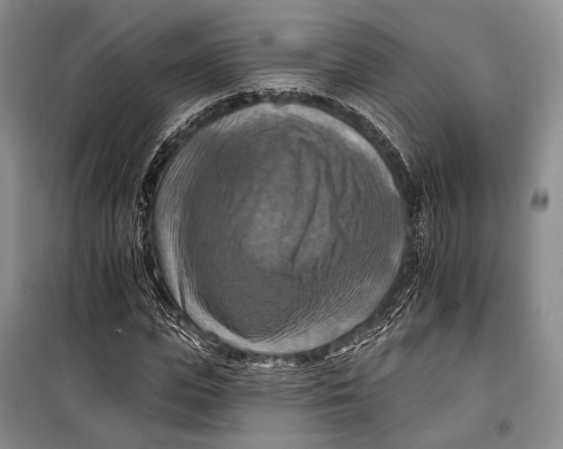 X0000098210823200805151251