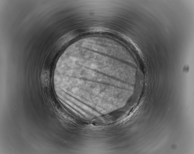 X0000098210825200805151251